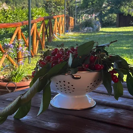 Glamping Il Balcone Degli Dei Campo de lujo